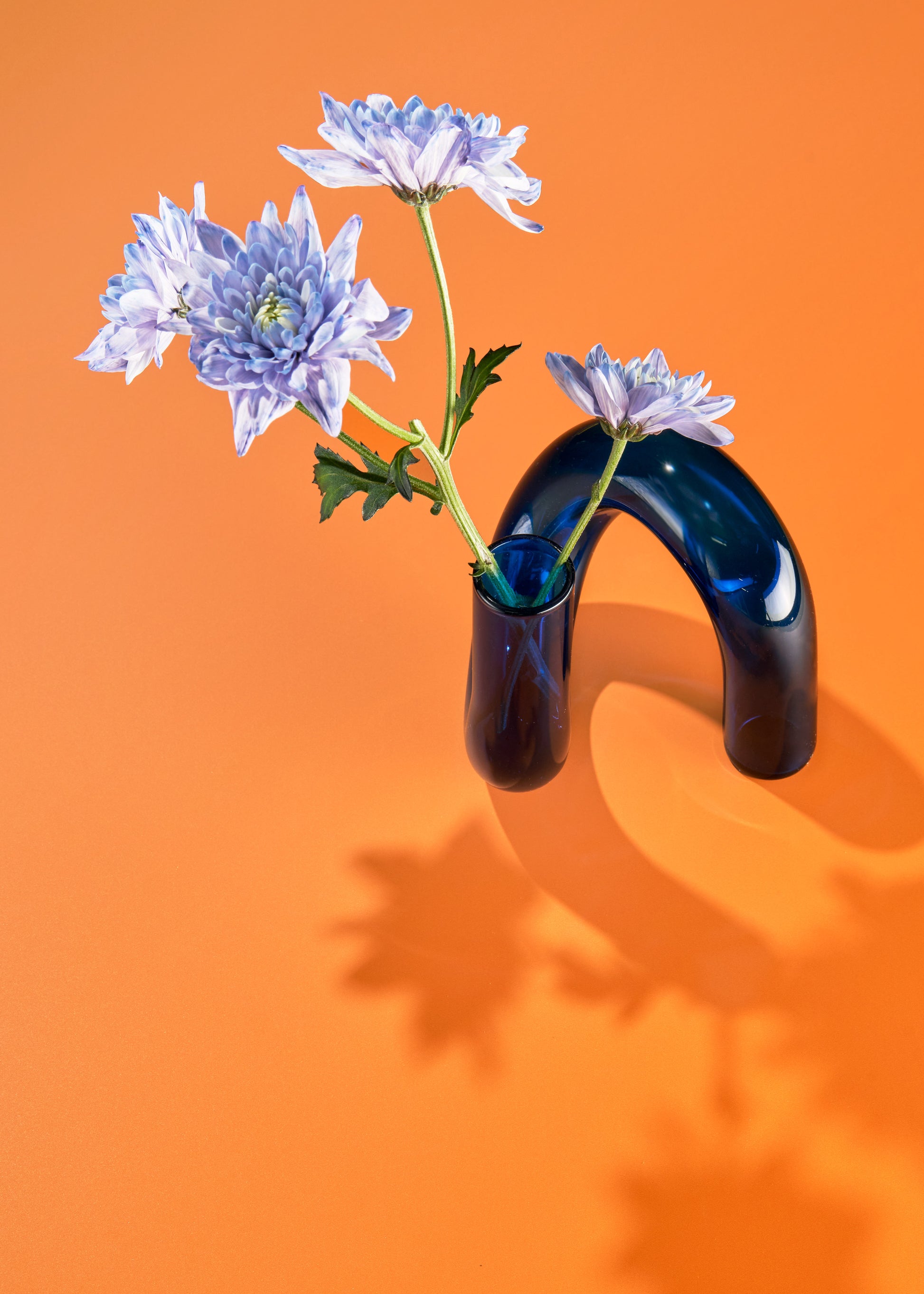 Marmalade Vinyl Photography Backdrop by Club Backdrops