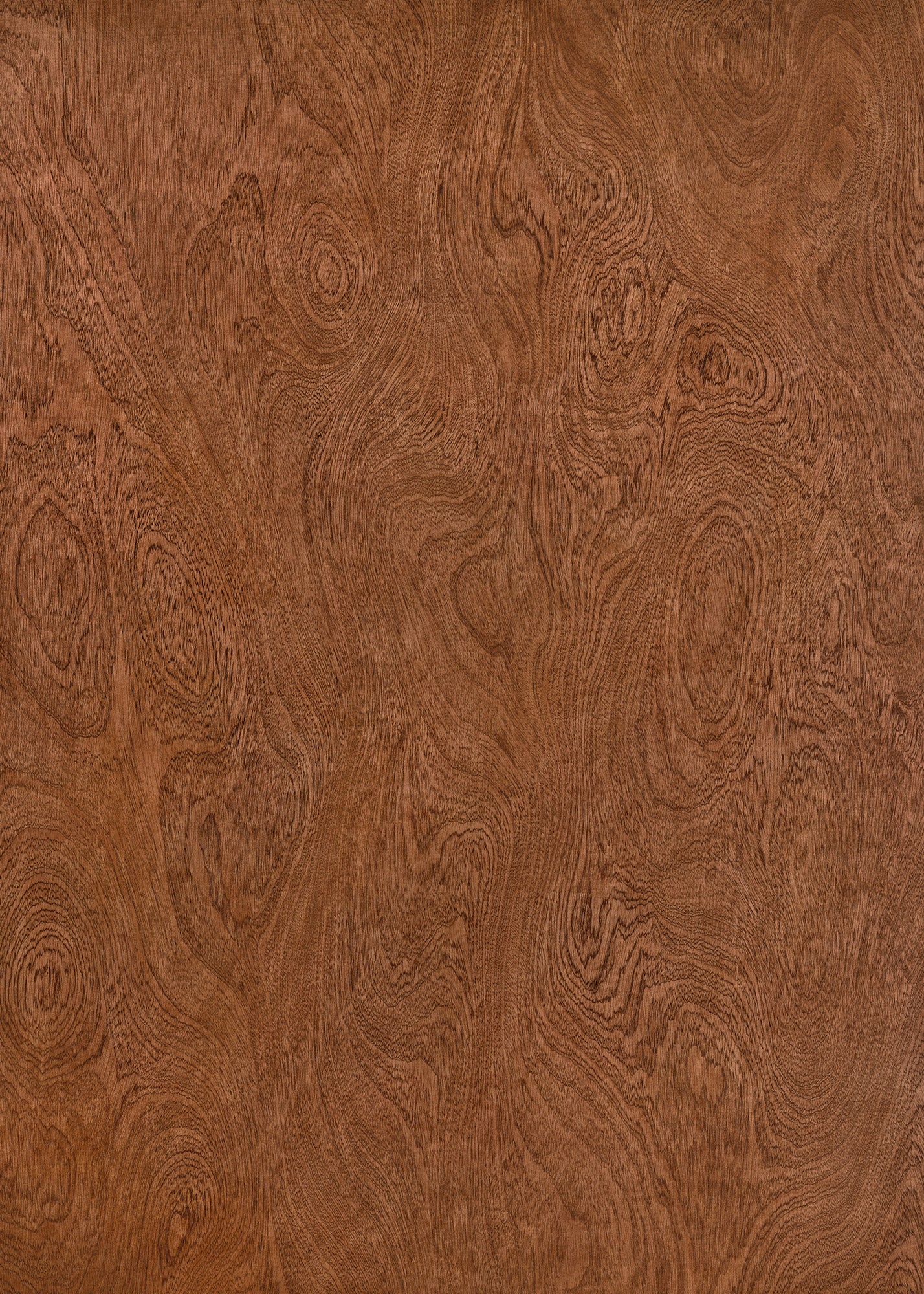 Wonder Wood Large Vinyl Photography Backdrop by Club Backdrops