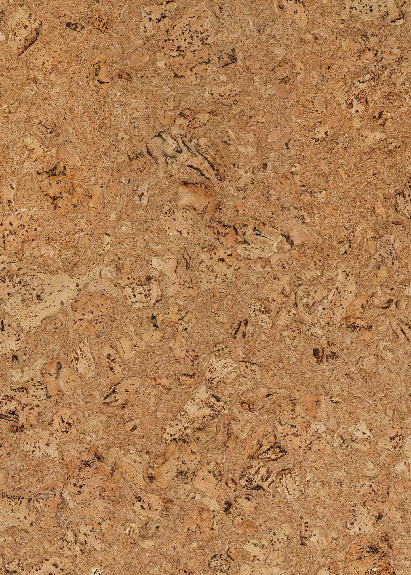 Quercus Large Vinyl Photography Backdrop by Club Backdrops