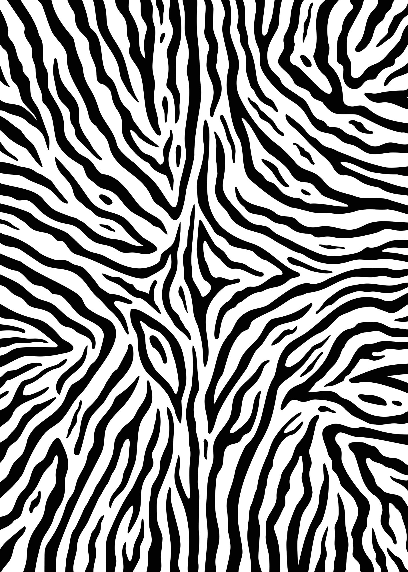 Custom Zebra Large Vinyl Photography Backdrop by Club Backdrops