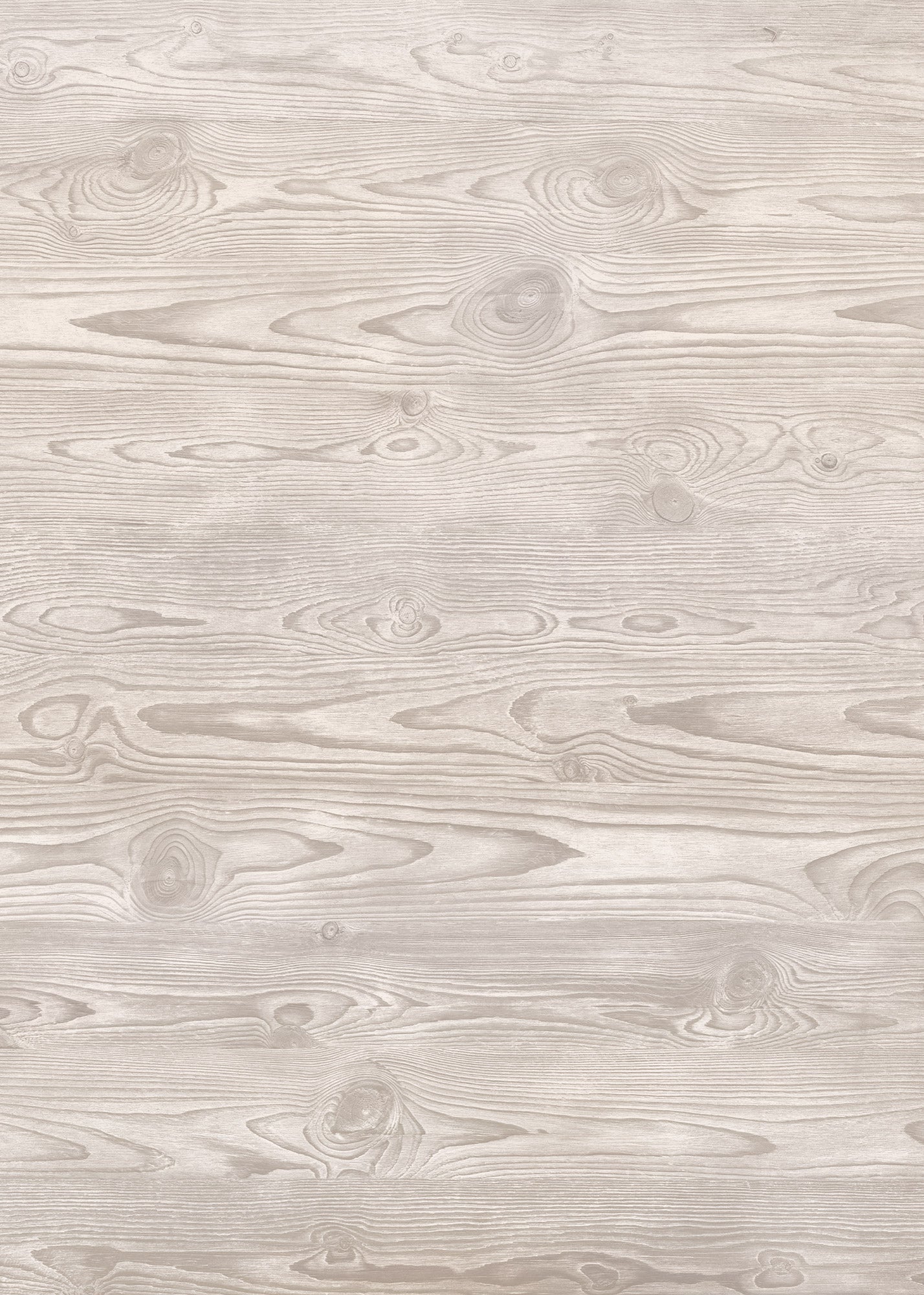 Ghost Wood Large Vinyl Photography Backdrop by Club Backdrops